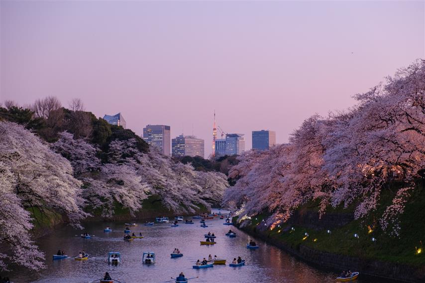 Tokyo river